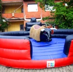 Bull Ride - Image 2