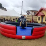 Bull Ride